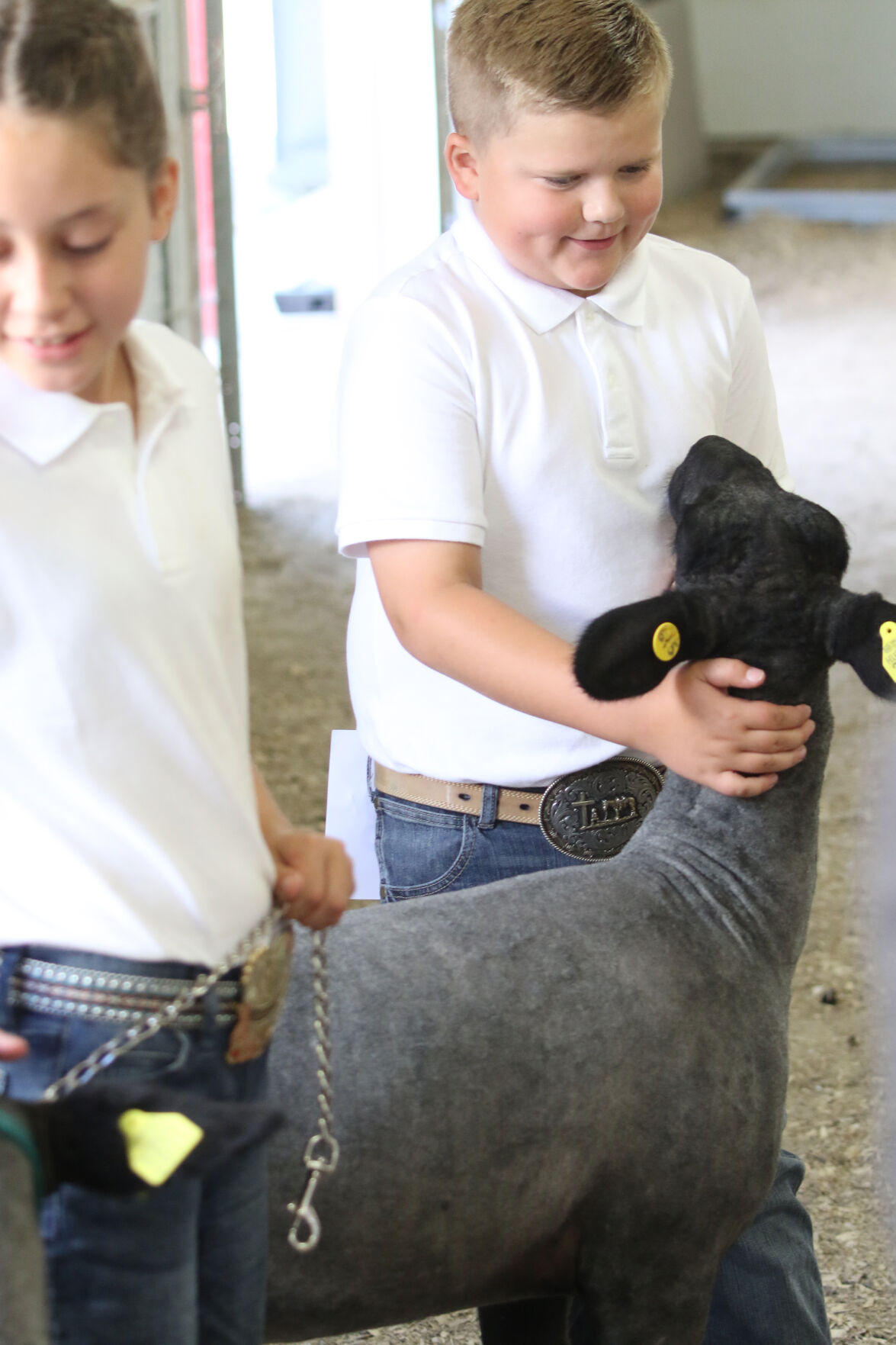 PHOTO: Sheep Show at Scotts Bluff County Fair